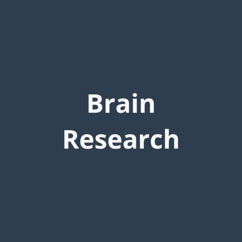 Brain Research - Ventio
